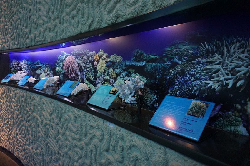Nyamannya Liburan Lebaran ke Madame Tussaud dan Sea Aquarium Singapore Melalui Tripvisto