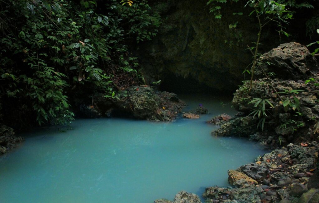 Cagar alam pananjung